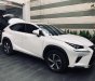 Lexus NX 300 2017 - Cần bán xe Lexus NX 300 đời 2017, màu trắng, nhập khẩu nguyên chiếc  