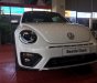Volkswagen Beetle  Dune 2018 - Volkswagen Beetle Beetle Dune sản xuất 2018, màu trắng, nhập khẩu, hỗ trợ vay 80%