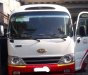 Hyundai County Limousine 2010 - Bán Hyundai County Limousine 2010, hai màu, xe nhập 