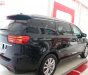 Kia Sedona Platinum G 2018 - Bán Kia Sedona Platinum G sản xuất năm 2018, màu đen, máy xăng