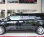 Kia Sedona Platinum G 2018 - Bán Kia Sedona Platinum G sản xuất năm 2018, màu đen, máy xăng