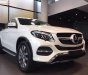 Mercedes-Benz GLE-Class GLE 400 4Matic 2018 - Bán ô tô Mercedes GLE 400 4Matic đời 2018, màu trắng, xe nhập