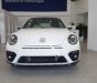 Volkswagen New Beetle 2018 - Bán Volkswagen New Beetle năm sản xuất 2018, màu trắng, xe nhập