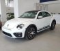 Volkswagen New Beetle 2018 - Bán Volkswagen New Beetle năm sản xuất 2018, màu trắng, xe nhập