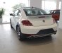 Volkswagen New Beetle 2018 - Bán Volkswagen New Beetle năm sản xuất 2018, màu trắng, xe nhập