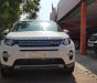 LandRover Discovery Sport HSE Luxury 2015 - Cần bán xe LandRover Discovery Sport HSE Luxury đời 2015, màu trắng, nhập khẩu nguyên chiếc