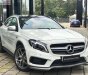 Mercedes-Benz GLA-Class   AMG 45 2015 - Bán ô tô Mercedes AMG 45 đời 2015, màu trắng, nhập khẩu nguyên chiếc