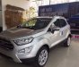 Ford EcoSport 1.0AT  2018 - Bán xe Ford EcoSport đời 2018, Ecoboost 1.0AT màu xám (ghi), KM chỉ 677 triệu, tặng gói phụ kiện tháng 11