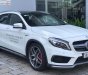 Mercedes-Benz GLA-Class   AMG 45 2015 - Bán ô tô Mercedes AMG 45 đời 2015, màu trắng, nhập khẩu nguyên chiếc