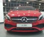 Mercedes-Benz A class A250 2018 - Bán ô tô Mercedes A250 đời 2018, màu đỏ, nhập khẩu