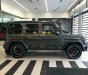 Mercedes-Benz G class AMG G63 Edition One 2018 - Bán Mercedes- Benz AMG G63 Edition One 2018