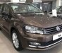Volkswagen Polo  1.6AT 2018 - Cần bán xe Volkswagen Polo 1.6AT đời 2018, màu nâu, nhập khẩu
