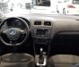 Volkswagen Polo  1.6AT 2018 - Cần bán xe Volkswagen Polo 1.6AT đời 2018, màu nâu, nhập khẩu