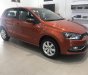 Volkswagen Polo 2016 - Tôi cần bán xe 5 chỗ nhập Đức, xe mới giá chỉ 599tr