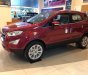 Ford EcoSport 2018 - Bán EcoSport Titanium AT 2018 giảm giá kịch sàn T11, TG chỉ từ 120 triệu là nhận xe, Mọi thủ tục chúng tôi lo