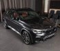 BMW X4   2018 - Bán BMW X4 sản xuất năm 2018, màu đen, xe nhập