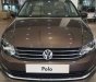 Volkswagen Polo  1.6AT 2018 - Cần bán xe Volkswagen Polo 1.6AT đời 2018, màu nâu, nhập khẩu