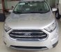 Ford EcoSport 2018 - Bán Ford Ecosport AT 2018, màu bạc, giá chỉ 558 triệu, xe có sẵn giao ngay, giá tốt nhất miền bắc. Lh 0969016692