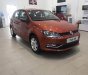 Volkswagen Polo 2016 - Tôi cần bán xe 5 chỗ nhập Đức, xe mới giá chỉ 599tr