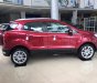 Ford EcoSport 1.0 Titanium 2018 - Bán xe Ford Ecoport bản 1.0 Titanium màu đỏ. Có xe giao ngay đủ màu, Lh 0965423558