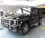 Mercedes-Benz G class G63 2018 - Cần bán Mercedes G63 sản xuất năm 2018, màu đen, nhập khẩu