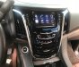 Cadillac Escalade ESV Premium 2015 - Bán Cadilac Escalede ESV Premium đen, nội thất nâu sản xuất 2015 đăng ký 2017, một chủ từ đầu