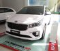 Kia Sedona Platinum G 2018 - Bán xe Kia Sedona Platinum G sản xuất năm 2018, màu trắng