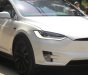 Xe tải ben P100D 2018 - Bán Tesla X P100D