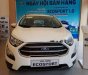 Ford EcoSport  1.0AT 2018 - Bán Ford Ecosport 1.0AT 2018, trả góp chỉ với 200tr đồng quý khách hàng có thể sở hữu được xe SUV tiêu chuẩn toàn cầu