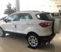 Ford EcoSport 1.0 Titanium  2018 - Chương trình khuyến mại Ford Ecosport cực lơn T11/2018. LH 0965423558