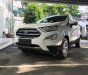 Ford EcoSport 1.0 Titanium  2018 - Chương trình khuyến mại Ford Ecosport cực lơn T11/2018. LH 0965423558