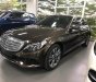 Mercedes-Benz C class C250 2018 - Cần bán Mercedes C250 đời 2018, màu nâu