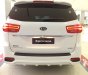 Kia Sedona Platinum D 2018 - Bán Sedona Platinum D 2019, giá 1tỷ 209 triệu, tặng Camera hành trình nhập khẩu Hàn Quốc, liên hệ 0979.508.434 gặp Vinh nhé