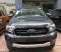 Ford Ranger Wildtrak 2.0 biturbo 4x4 2018 - Cần bán Ford Ranger Wildtrak 2.0 biturbo 4x4 sản xuất năm 2018, màu xám, nhập khẩu, 916 triệu