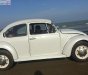 Volkswagen Beetle Trước 1990 - Cần bán xe Volkswagen Beetle Trước sản xuất 1990, màu trắng, xe nhập