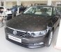 Volkswagen Passat 1.8 Bluemotion 2017 - Bán Volkswagen Passat 1.8 Bluemotion 2017, màu xám, nhập khẩu