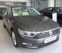 Volkswagen Passat 1.8 Bluemotion 2017 - Bán Volkswagen Passat 1.8 Bluemotion 2017, màu xám, nhập khẩu