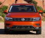 Volkswagen Tiguan 2018 - Cần bán Volkswagen Tiguan 2018, nhập khẩu