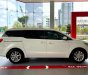 Kia Sedona Luxury 2018 - Kia Gia Lai - Sedona Luxury model 2019 - Tặng camera hành trình trước sau nhập khẩu Hàn Quốc - 0367.891.664