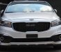 Kia Sedona    2018 - Bán Kia Sedona năm 2018, màu trắng