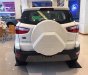 Ford EcoSport Titanium 1.0L AT 2018 - Bán Ford EcoSport 2018, fulloption, mykey, màu trắng, sẵn xe, giao ngay, hỗ trợ vay 90%