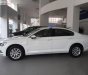 Volkswagen Passat 1.8 Bluemotion 2017 - Bán Volkswagen Passat 1.8 Bluemotion 2017, màu trắng, nhập khẩu