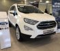 Ford EcoSport  Titanium 1.0L AT 2018 - Bán Ford EcoSport Titanium 1.0L AT, 2018, màu trắng, tặng bảo hiểm thân vỏ, hỗ trợ vay 90% giá xe, thủ tục nhanh gọn