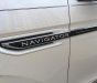 Lincoln Navigator BlackLabell  2018 - Bán Lincoln Navigator Black Label 2018