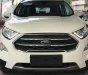 Ford EcoSport  Titanium 1.0L AT 2018 - Bán Ford EcoSport Titanium 1.0L AT, 2018, màu trắng, tặng bảo hiểm thân vỏ, hỗ trợ vay 90% giá xe, thủ tục nhanh gọn
