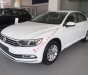 Volkswagen Passat 1.8 Bluemotion 2017 - Bán Volkswagen Passat 1.8 Bluemotion 2017, màu trắng, nhập khẩu