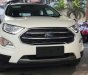 Ford EcoSport  Titanium 1.0L AT 2018 - Bán Ford EcoSport Titanium 1.0L AT, 2018, màu trắng, tặng bảo hiểm thân vỏ, hỗ trợ vay 90% giá xe, thủ tục nhanh gọn