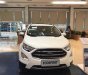 Ford EcoSport  Titanium 1.0L AT 2018 - Bán Ford EcoSport Titanium 1.0L AT, 2018, màu trắng, tặng bảo hiểm thân vỏ, hỗ trợ vay 90% giá xe, thủ tục nhanh gọn