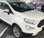 Ford EcoSport  Titanium 1.0L AT 2018 - Bán Ford EcoSport Titanium 1.0L AT, 2018, màu trắng, tặng bảo hiểm thân vỏ, hỗ trợ vay 90% giá xe, thủ tục nhanh gọn