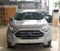 Ford EcoSport     2018 - Bán Ford EcoSport sản xuất năm 2018, màu bạc